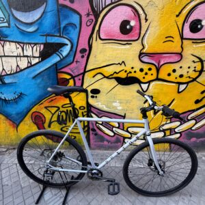 Bicicleta 28 Nottingham pro (hombre) disco y cambios Gris