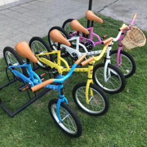 Bicicleta Mink 16 Duxton (colores varios)
