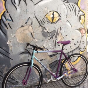 Bicicleta Nottingham Bicolor Single Speed