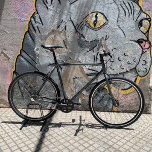 Bicicleta Nottingham Single Speed Talle L Gris 3 vel