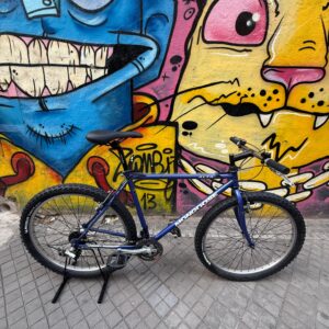 Bicicleta Mongoose Alta Full cromo talle S