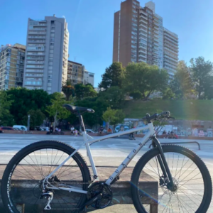 Bicicleta Fad Maverick Mtb R29 Color Gris Claro talle m