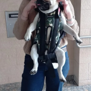 Mochila para llevar perro