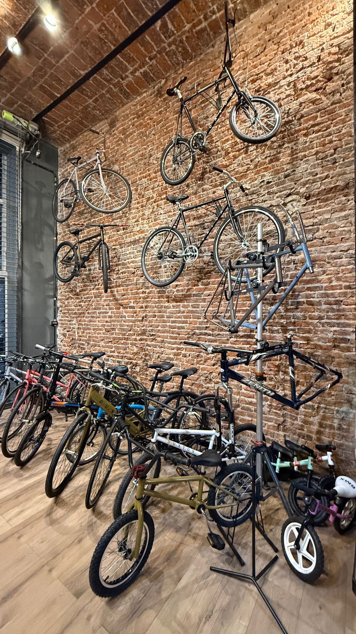Bicicletas exhibidas en el showroom Duxton