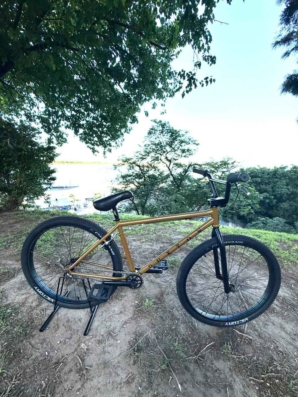 Bicicleta Duxton BMX