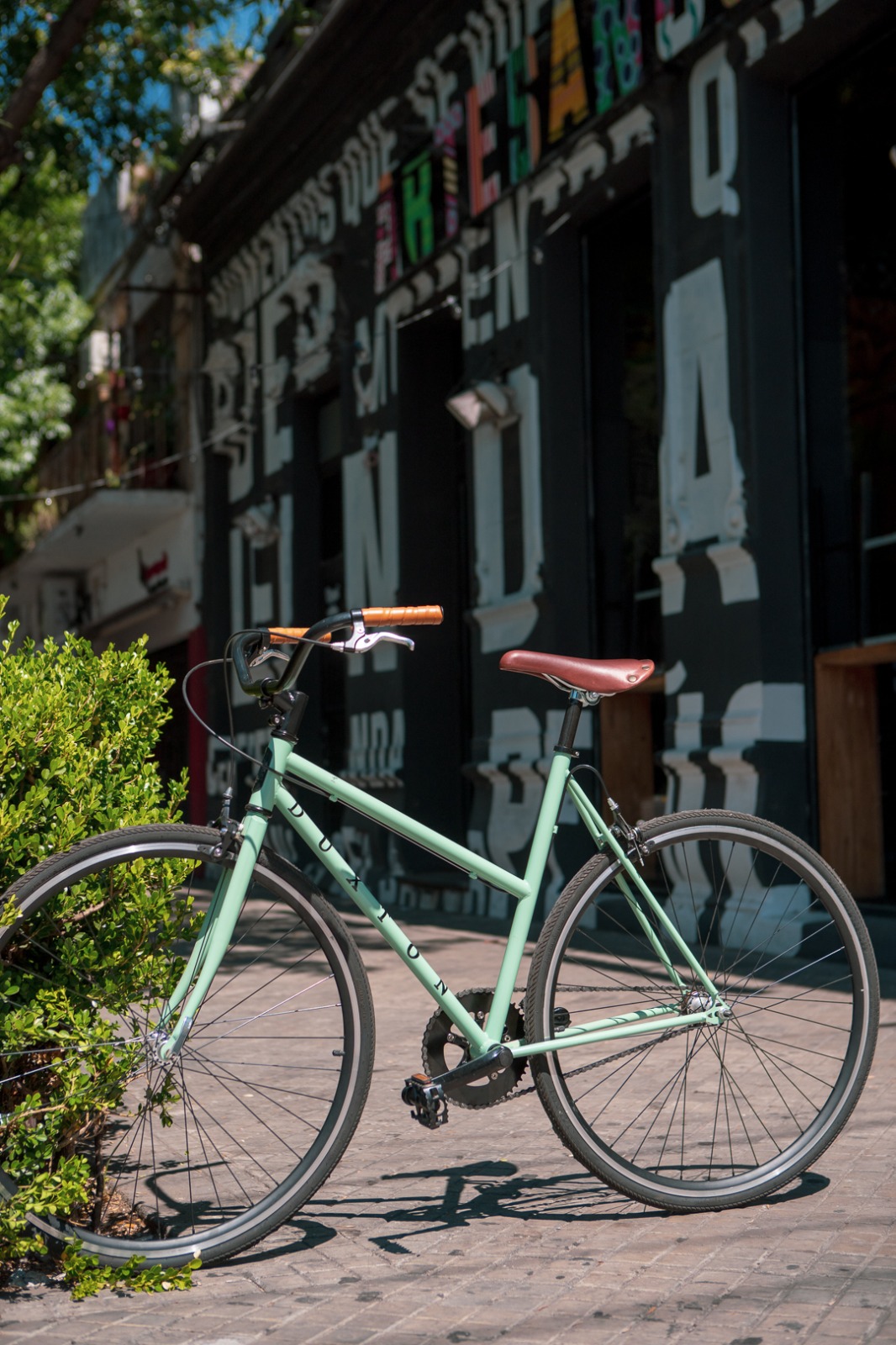 Bicicleta Duxton vintage