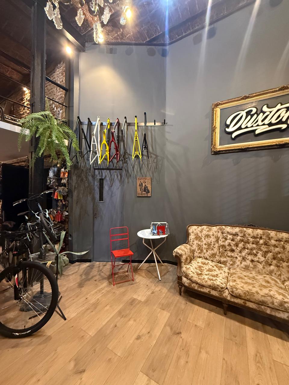 Bicicletas exhibidas en el showroom Duxton