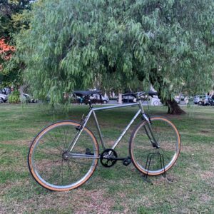 Bicicleta Nottingham Talle L cromada